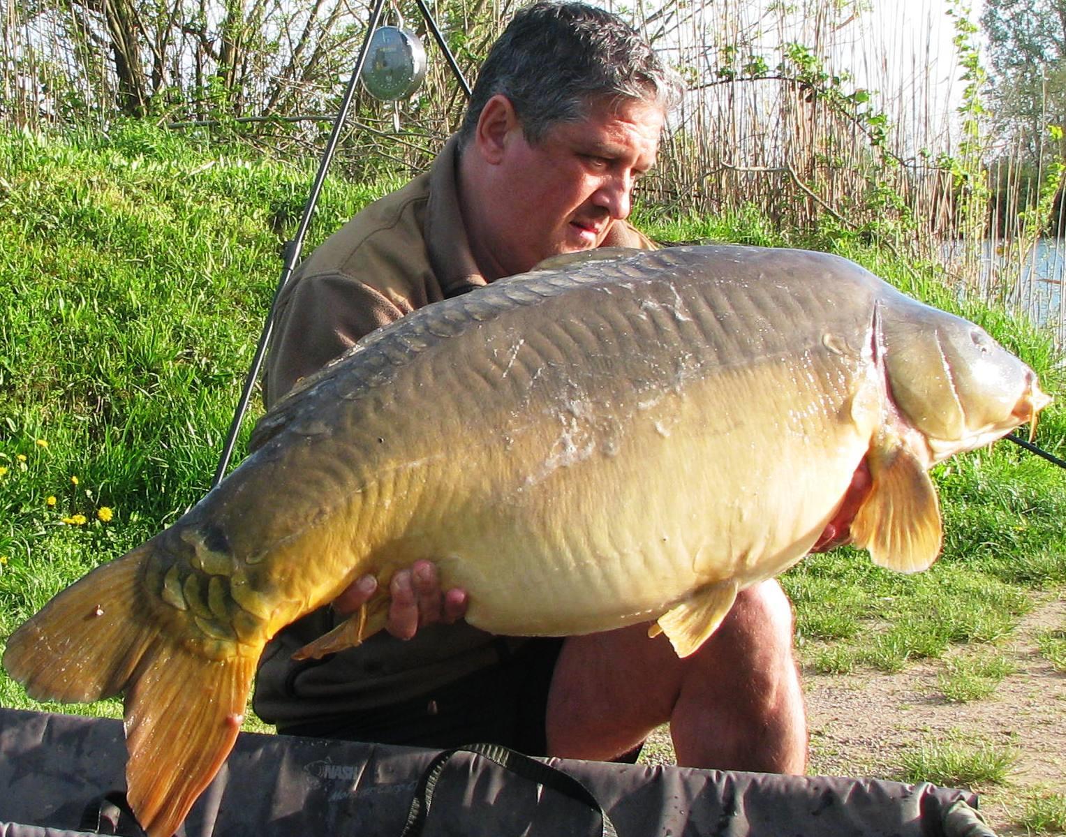 Pelagicevo Jezero  aprilie 2015 - img2023.JPG